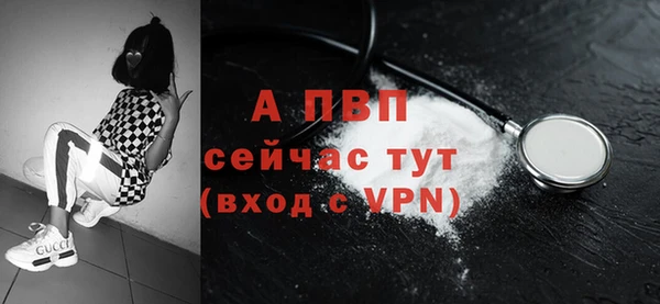 молекула духа Волоколамск