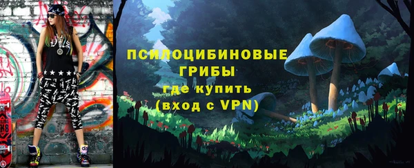 молекула духа Волоколамск