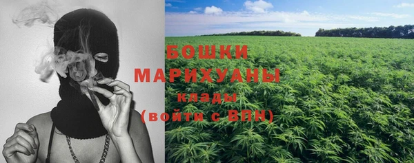 молекула духа Волоколамск