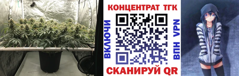 гидра зеркало  Петров Вал  ТГК концентрат 